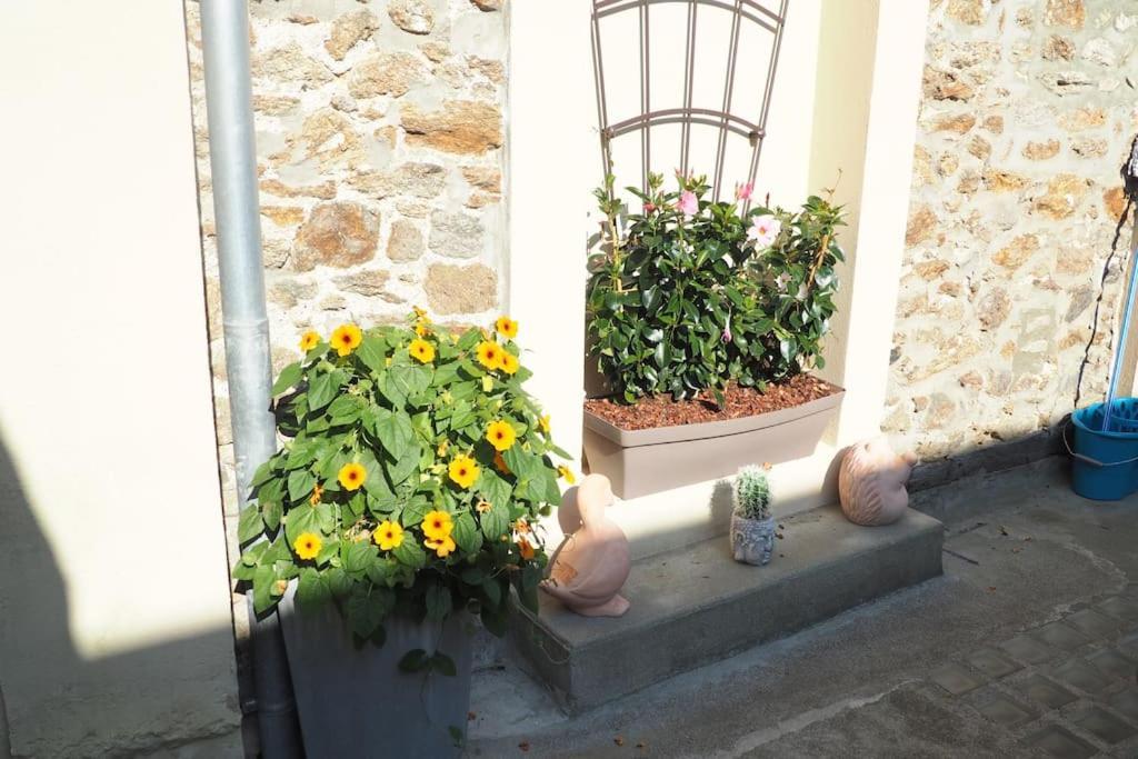 Appartement Duplex Et Terrasse A St Servan-St Malo Saint-Malo Exterior foto